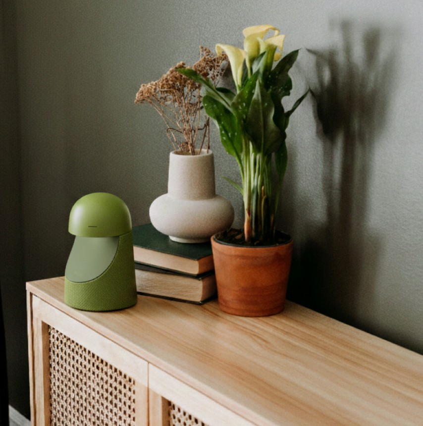Olympia companion device on a sideboard in a home setting